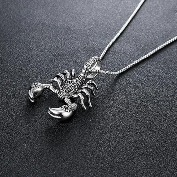 Other - ❤️Retro Stainless steel scorpion pendant necklace for women/men, N90201P195